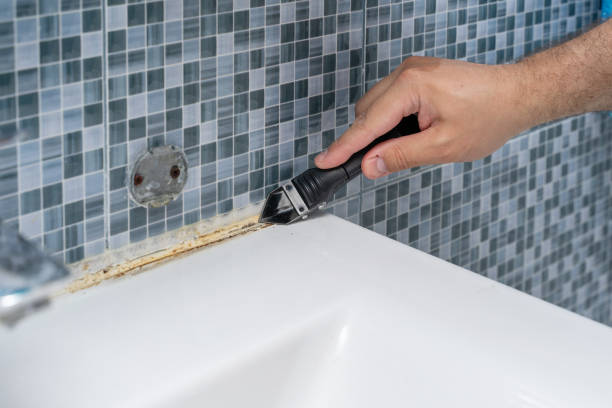 Home Mold Removal in South Padre Island, TX